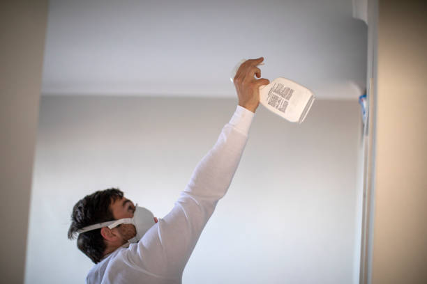 Best White Mold Remediation in East Greenville, PA