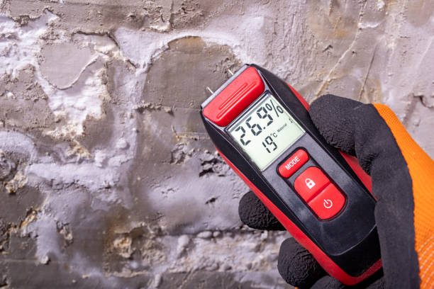 Best Black Mold Remediation in East Greenville, PA