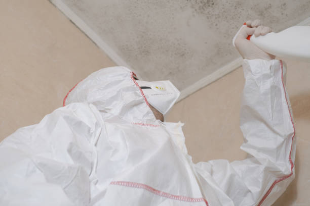 Best Industrial Mold Remediation in East Greenville, PA